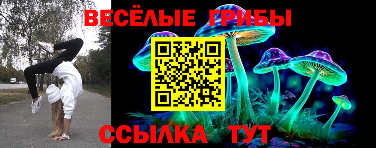 Норильск  хочу наркоту  Вход с VPN  Галлюциногенные грибы MAGIC MUSHROOMS 